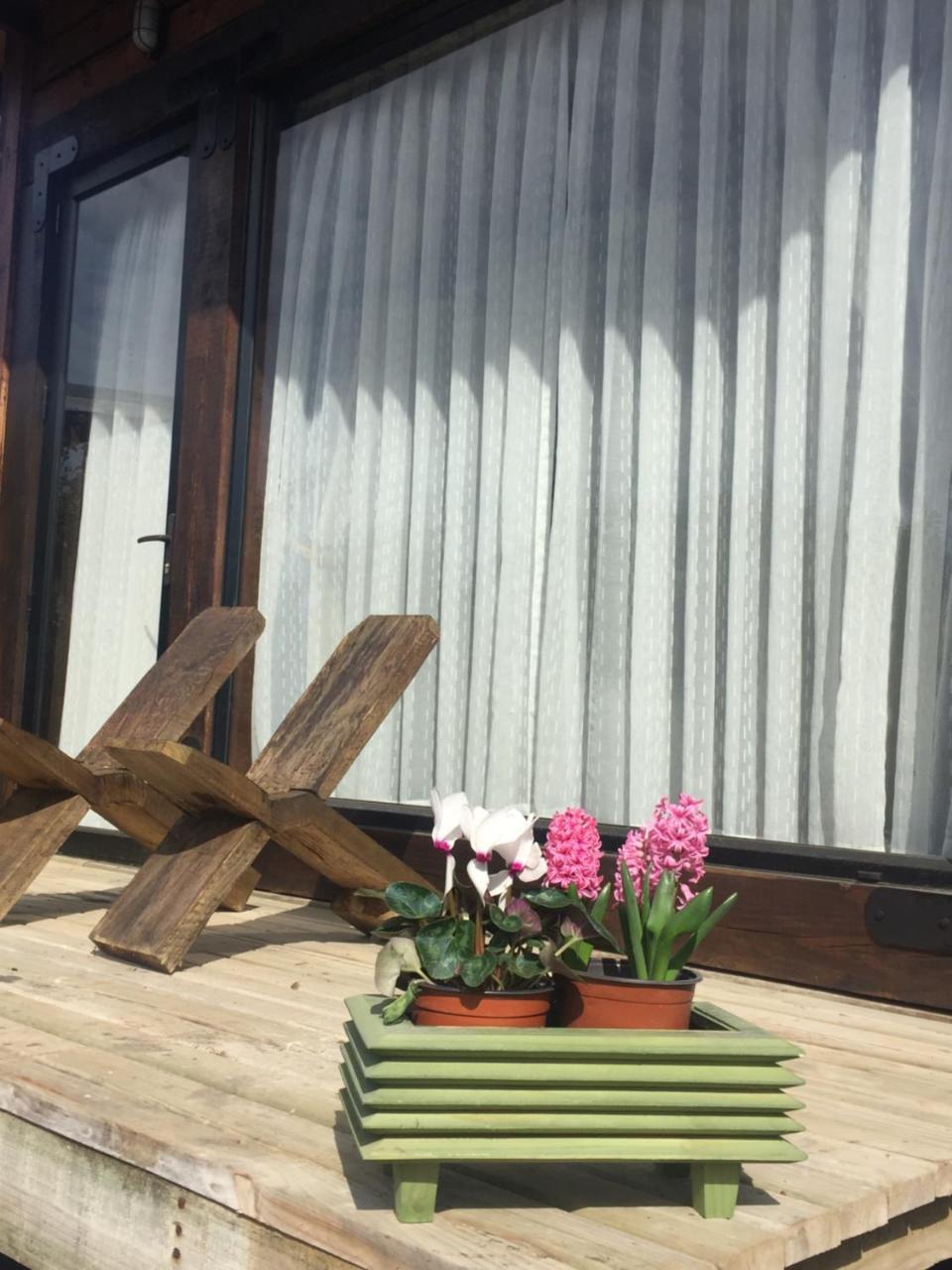 Palo Santo Bed & Breakfast Pichilemu Luaran gambar