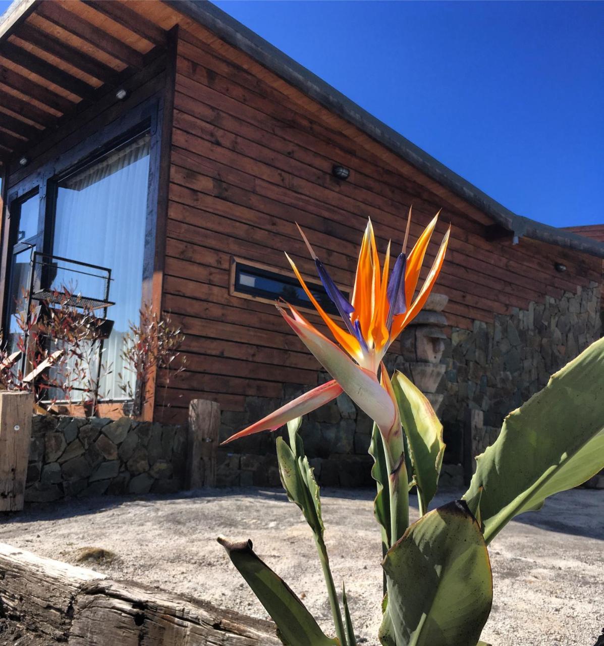 Palo Santo Bed & Breakfast Pichilemu Luaran gambar